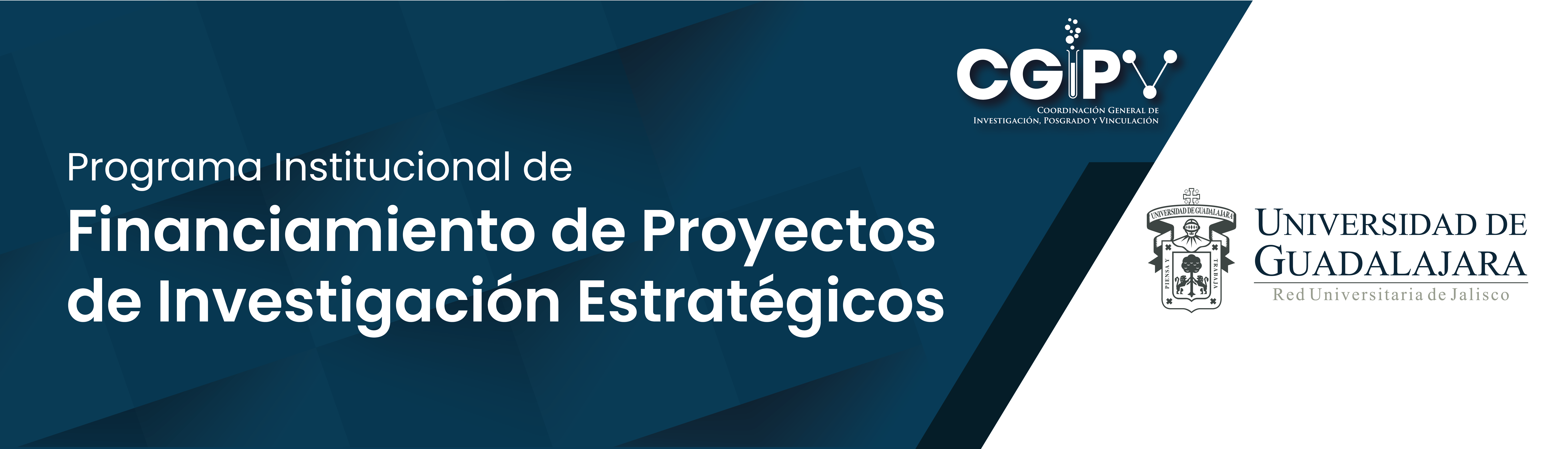 Banners CGIPV 2021 - SW-03
