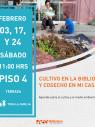 Cultivo en la biblioteca