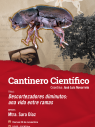Cantinero científico
