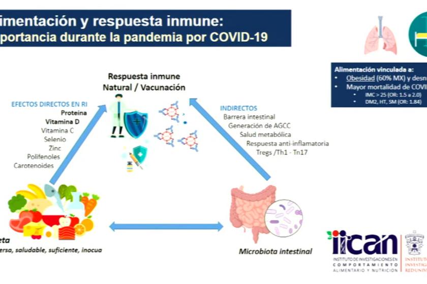 Académicas del CUSur presentan resultados de la investigación “Impacto de la alimentación frente al COVID-19: inmunidad y ansiedad durante el confinamiento” La ansiedad es una reacción emocional y física que una persona siente para anticipar un peligro o amenaza, y muchas veces para aliviarla se suele recurrir a alimentos ricos en grasas y azúcares.   Durante la pandemia del COVID-19, investigadoras del Instituto de Investigaciones en Comportamiento Alimentario y Nutrición (IINCAN), del Centro Universitario