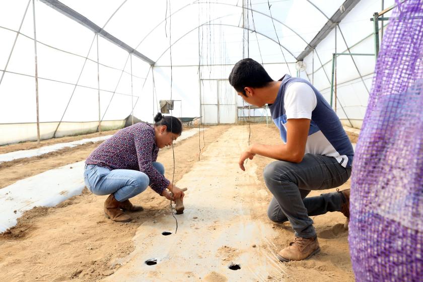 Falta legislación para normar el uso de plásticos en la agricultura