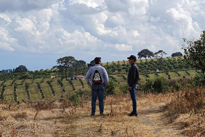 Impulsan parcelas agroecológicas en el Sur de Jalisco