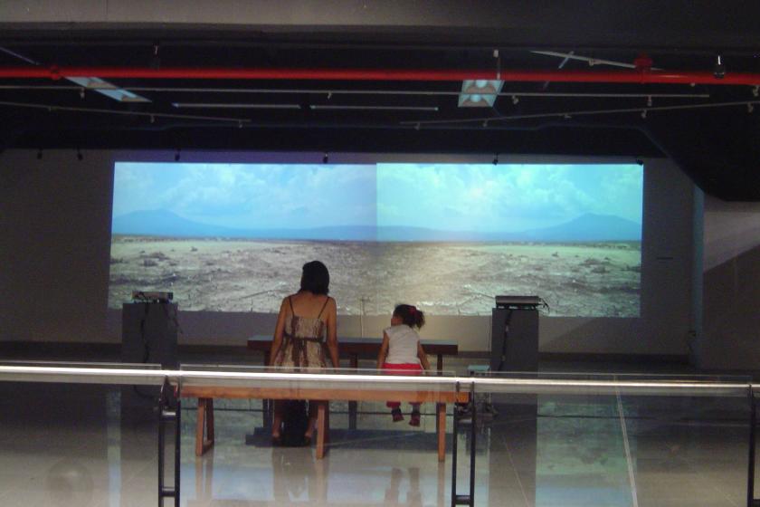 El Museo de Ciencias Ambientales y el MUSA de la UdeG unen fuerzas por el cuidado del medioambiente en LA Art Show