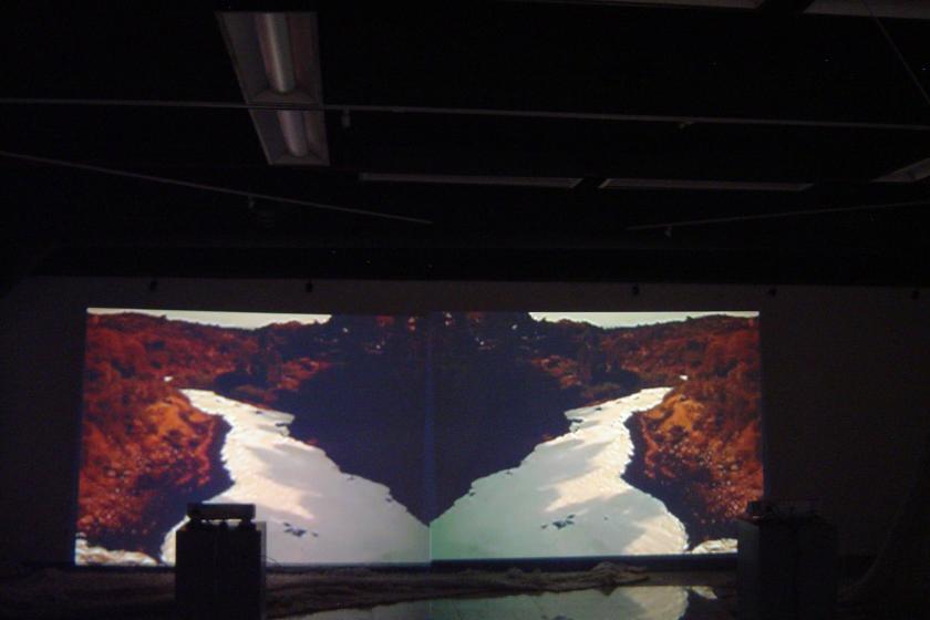 El Museo de Ciencias Ambientales y el MUSA de la UdeG unen fuerzas por el cuidado del medioambiente en LA Art Show