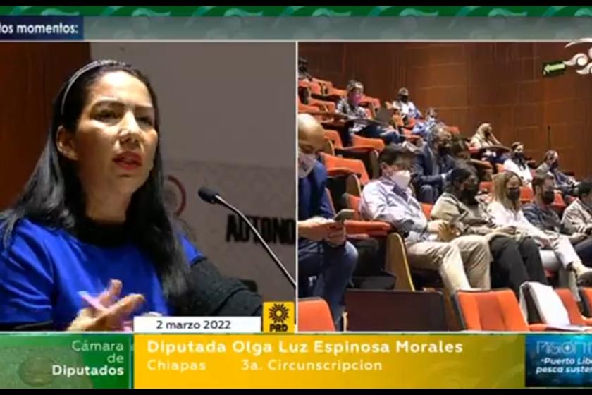 Discuten académicos de UdeG sobre autonomía universitaria en foro del Congreso de la Unión