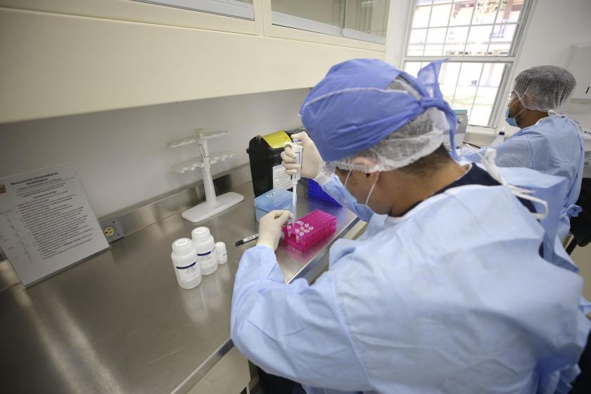 Científicos buscan una vacuna universal