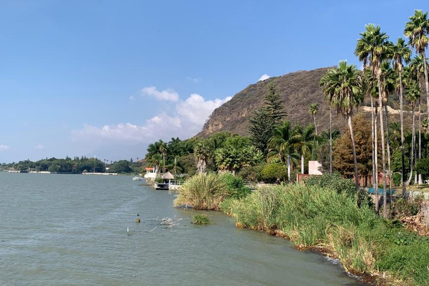 depredación de humedales en Lago de Chapala