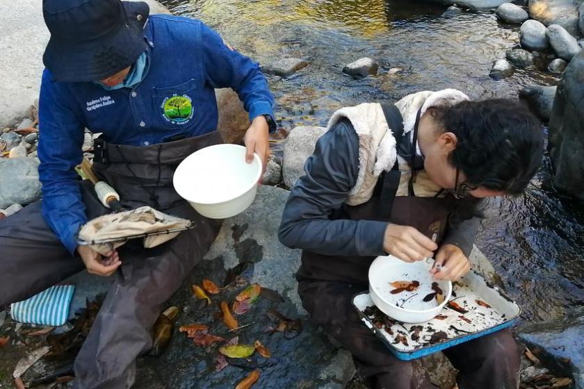 rescate de ríos de la Costa Sur de Jalisco