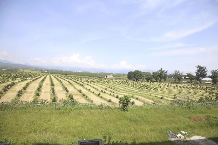 lluvia puede contaminar los alimentos