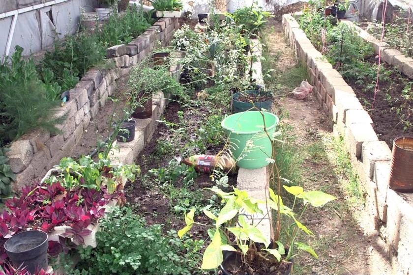 Hábitos alimenticios saludables 