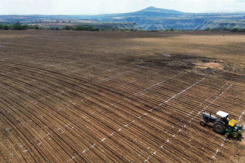 producción ganadera 