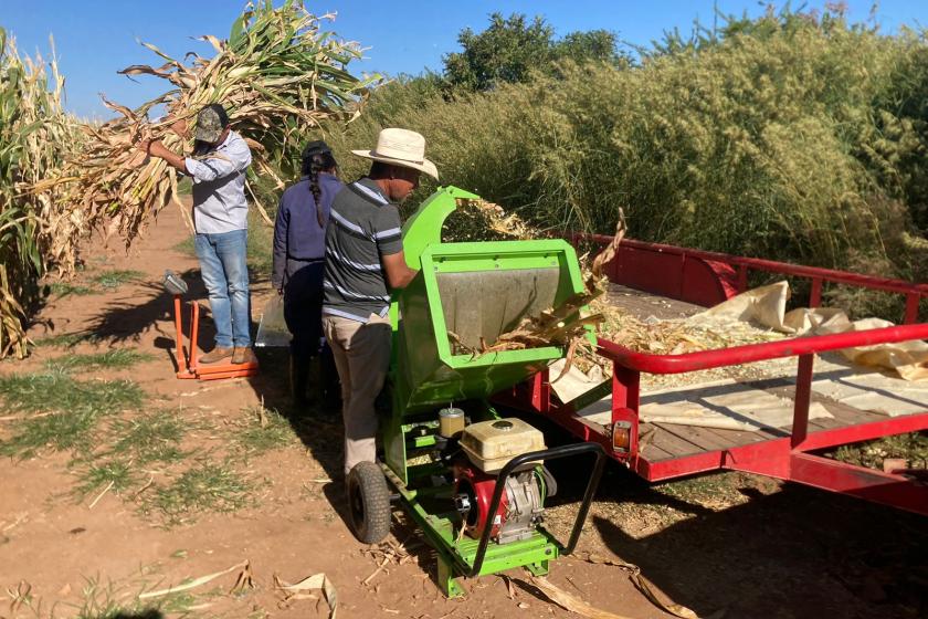 producción ganadera 