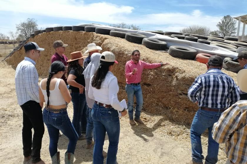 producción ganadera 