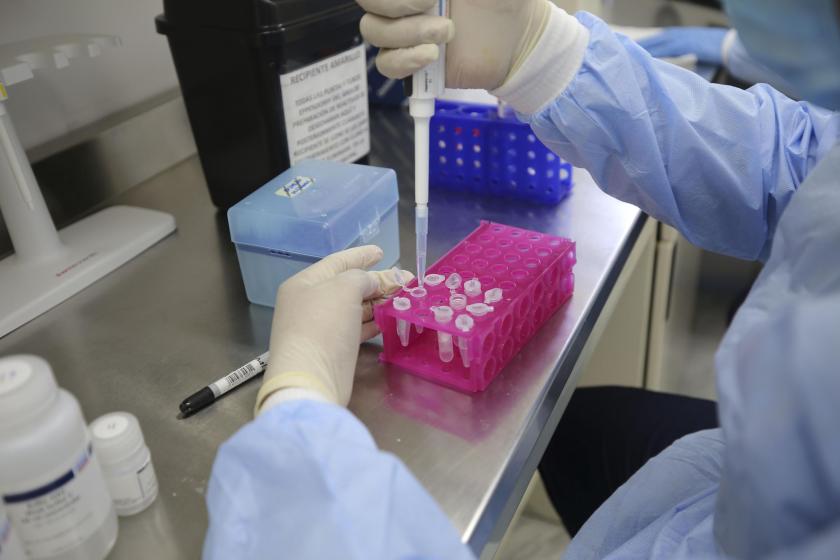 liderazgo científico