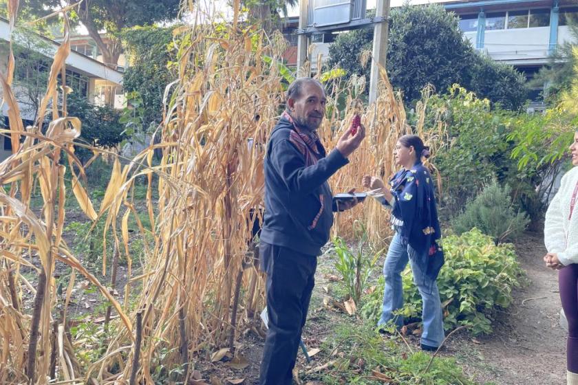 Laboratorio de Agroecología Intercultural para la Salud