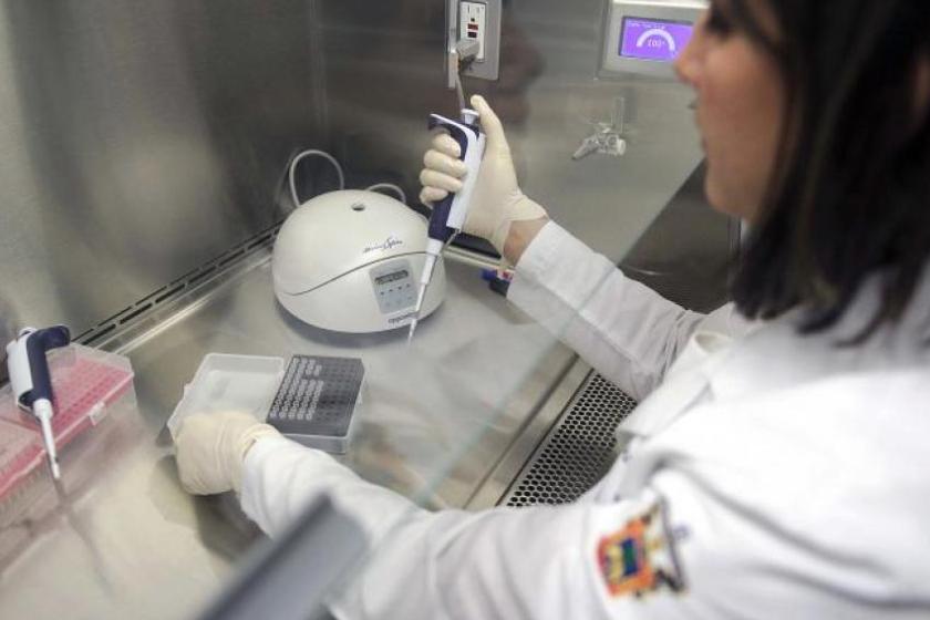  licenciatura en Médico cirujano