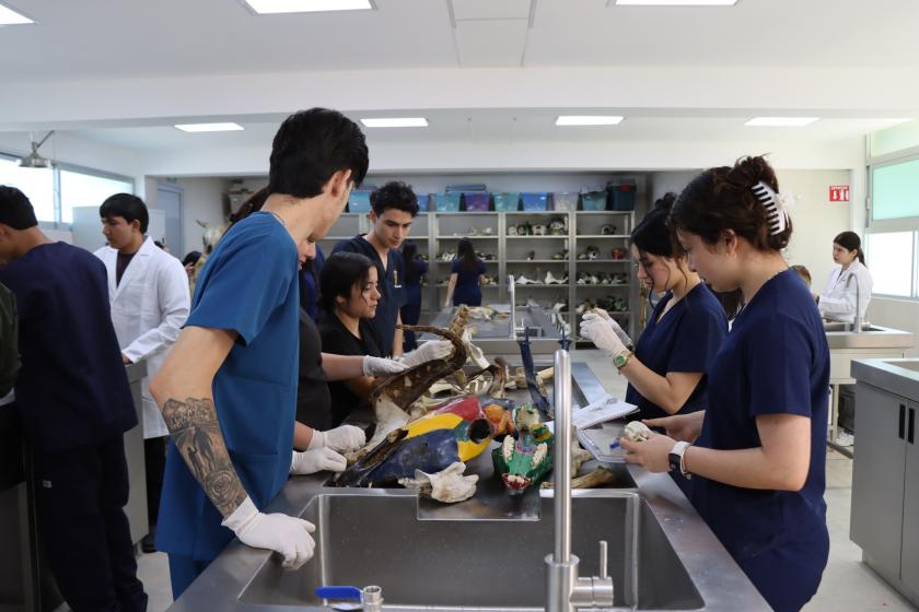 CUSur cuatro laboratorios