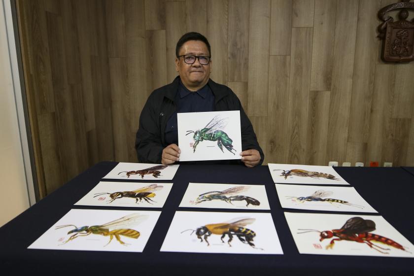 especies polinizadoras