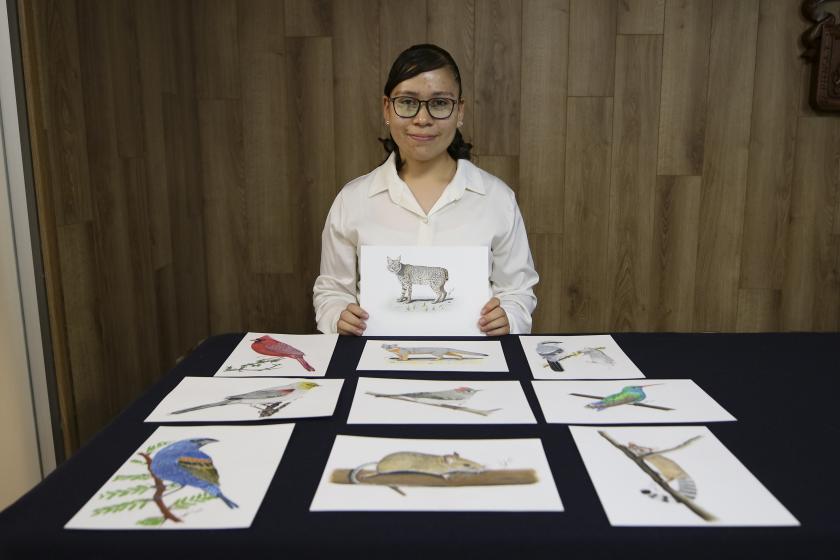 especies polinizadoras