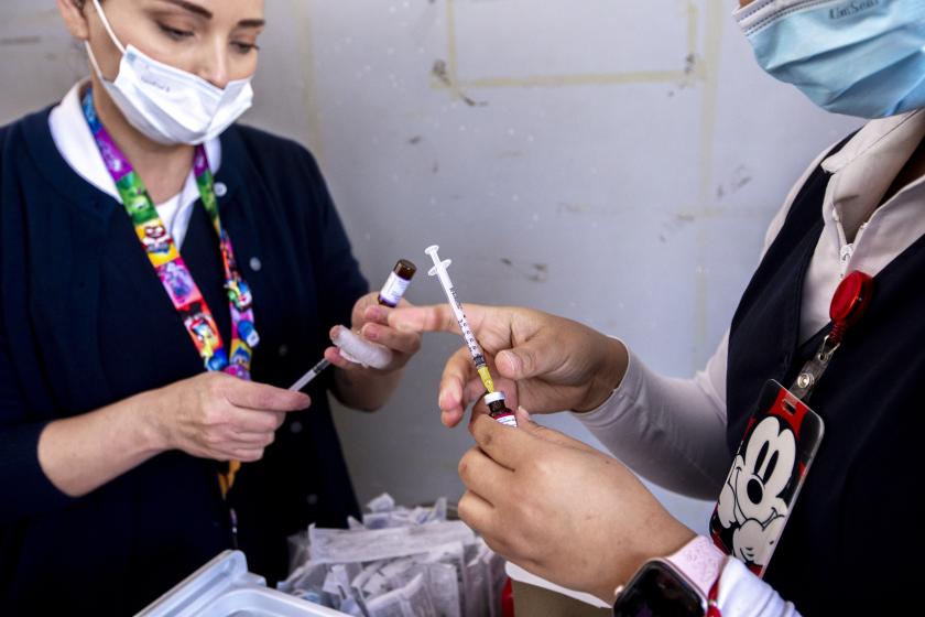 módulos de vacunación