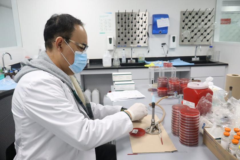 hemocultivos