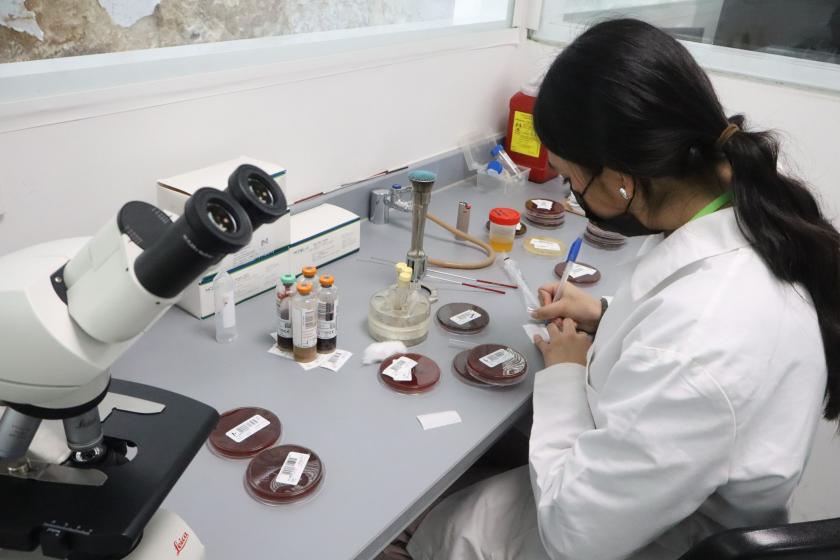 hemocultivos
