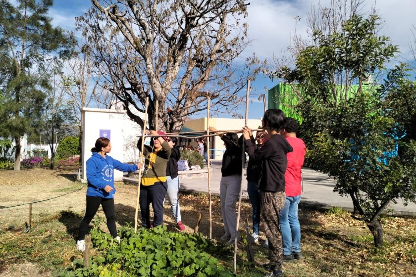 huertos educativos