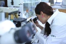 liderazgo científico