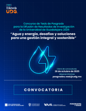 Concurso de Tesis de Posgrado 2025