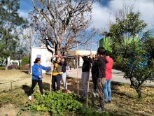 huertos educativos