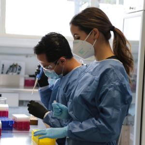 Investigación UdeG
